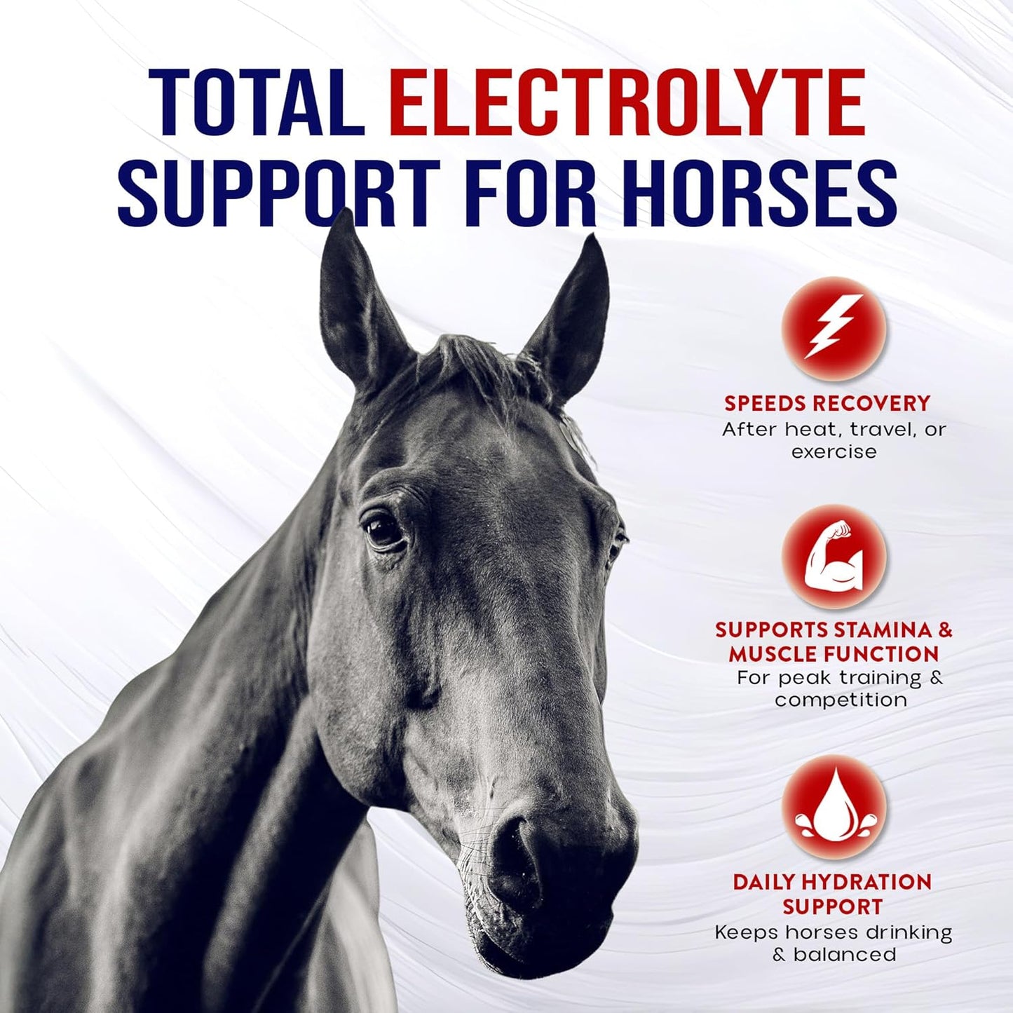 5lb Horse Electrolytes Powder | Electrolytes for Horses | Horse Electrolyte Supplements | Crisp Apple Flavor | Made in the USA