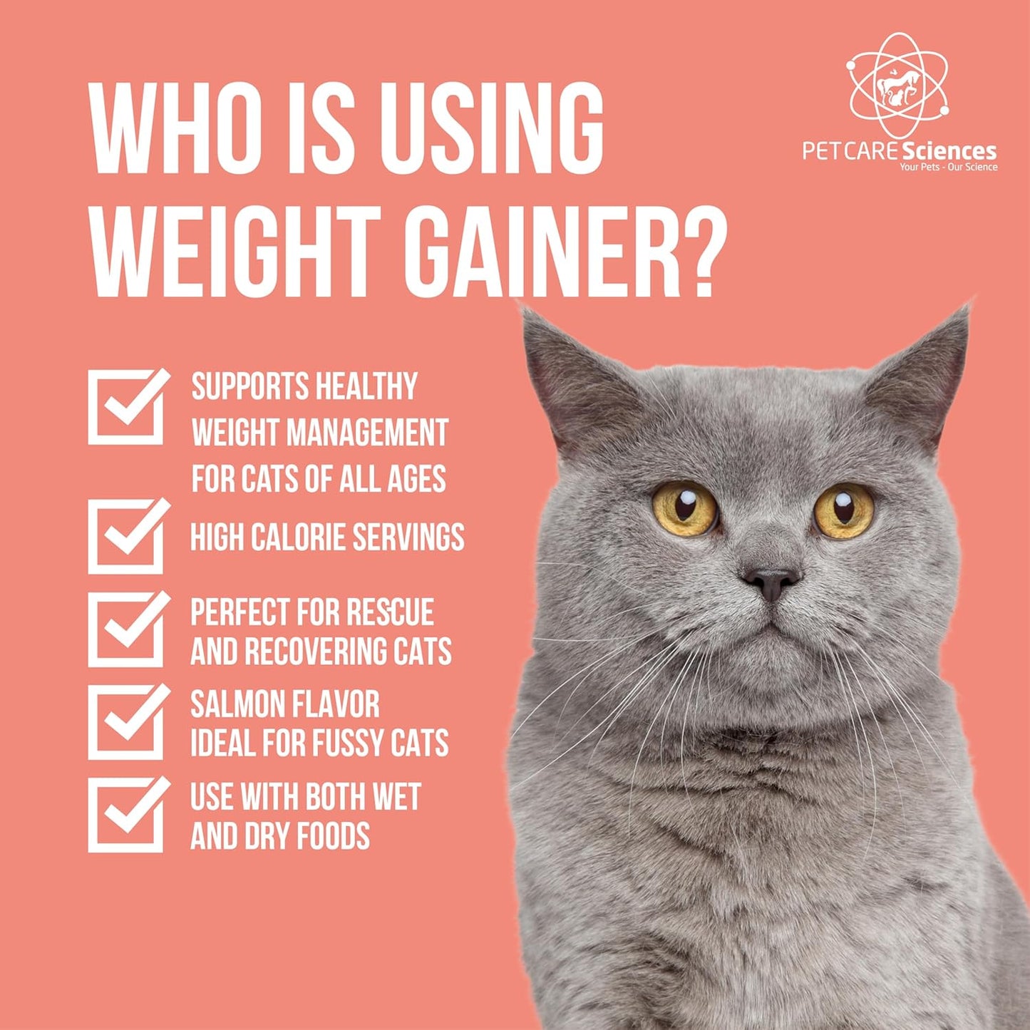 16 Fluid Ounce Liquid Cat Weight Gainer - High Calorie Supplement for Cats - High Calorie Cat Food Appetite Stimulant - Salmon Flavor - Made in The USA