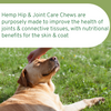 Image of PET CARE Sciences® Hemp Hip & Joint For Dogs