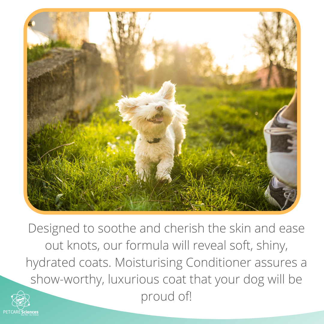 PET CARE Sciences® Dog Moisturizing Conditioner